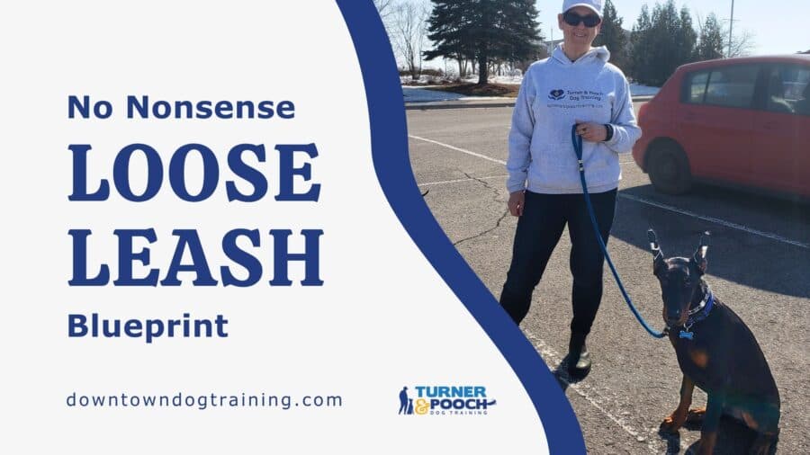 No-Nonsense Loose Leash Blueprint